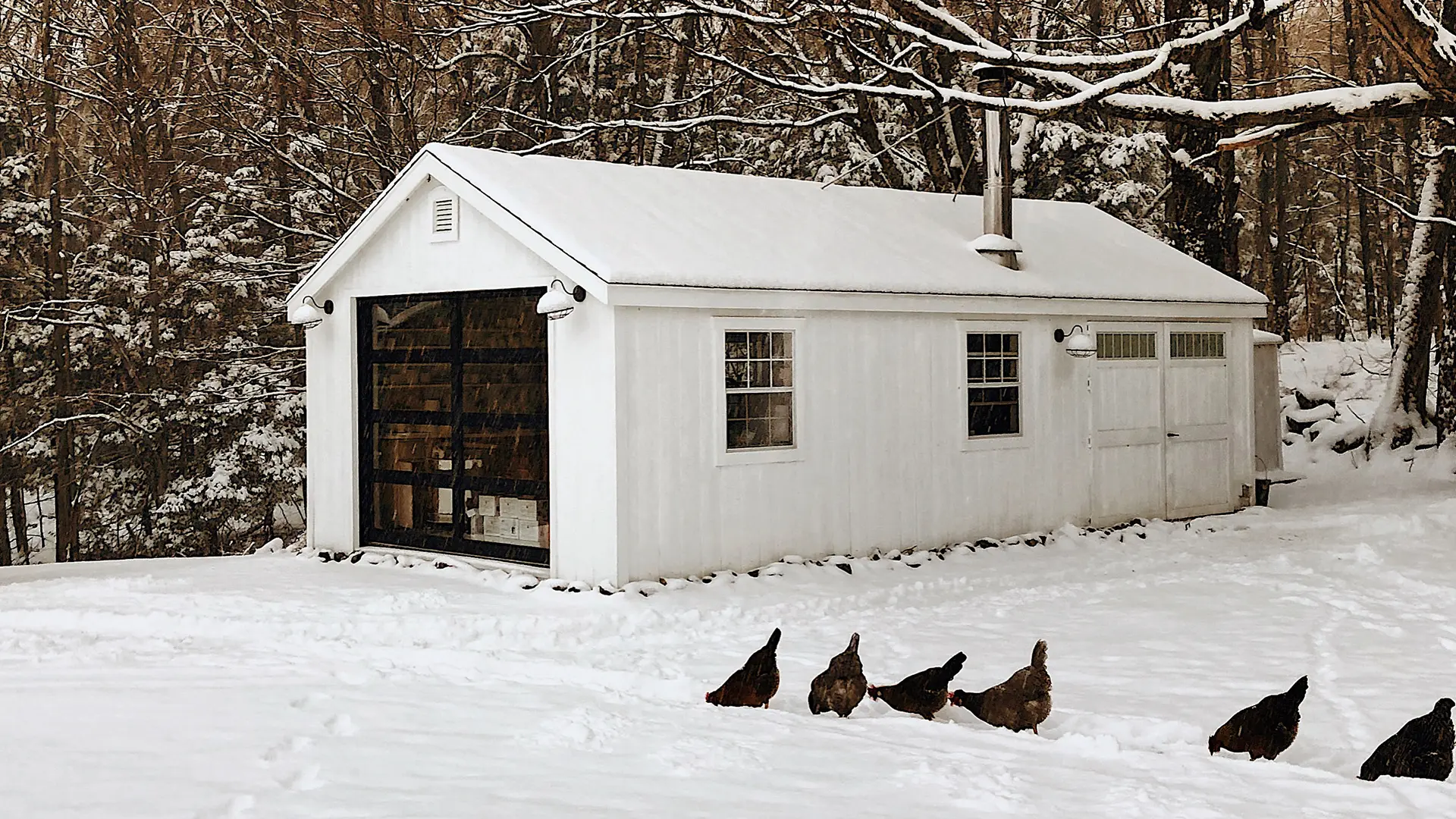 Clopay Garage Door in Winter