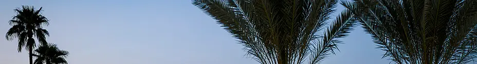 Dealer Cover Image