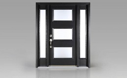 Smooth Fiberglass Entry Door Design FS9033 in Black Finish with Frosted Glass