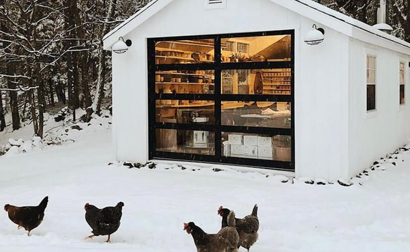 Avante AV | Full View Windows with Clear Glass in Black Finish on white art studio with chickens in the snow